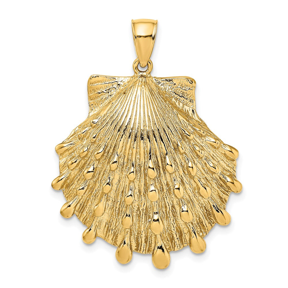 14k Yellow Gold 29.6 mm Lion's Paw Shell Charm (10.32 grams)