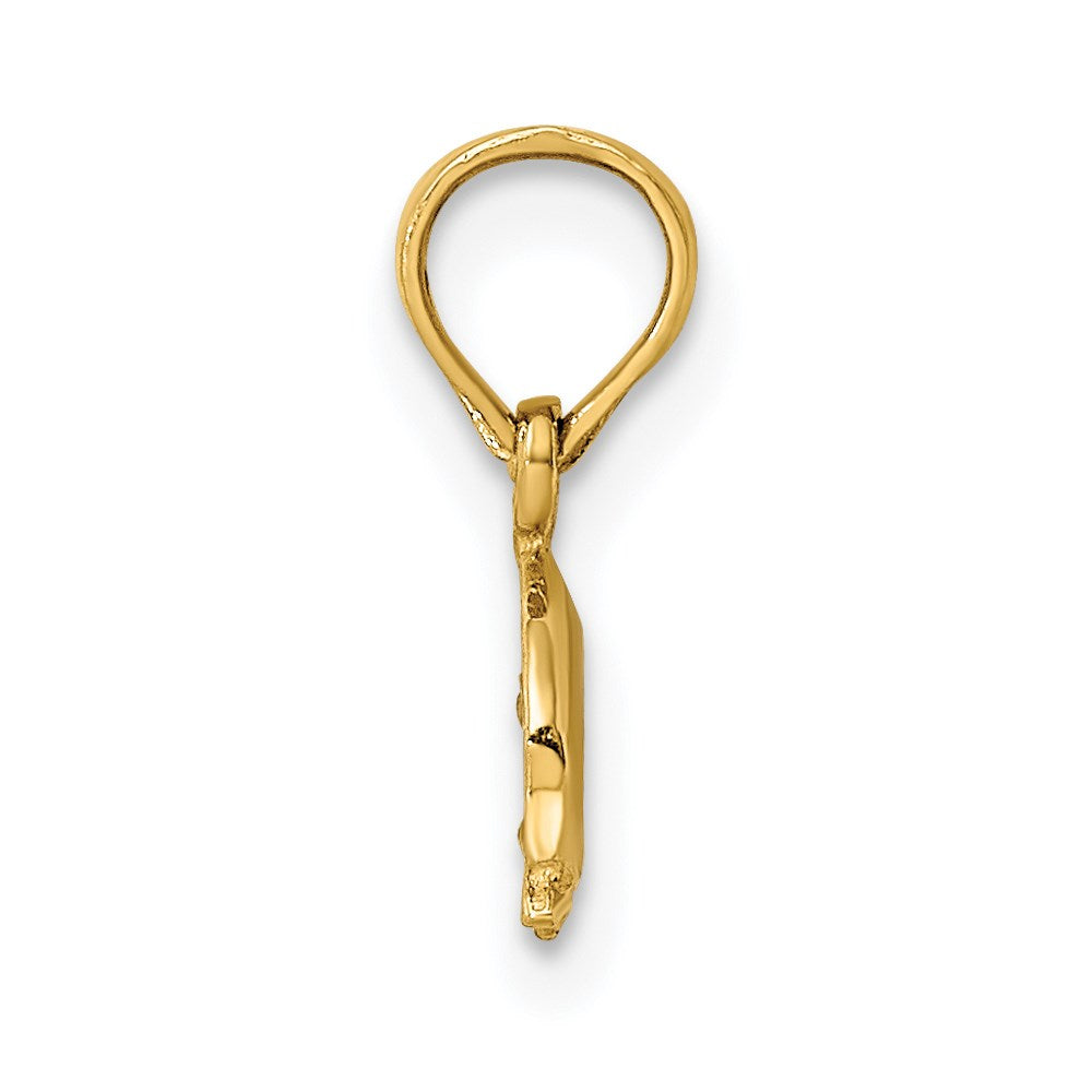 14k Yellow Gold 9.45 mm ng Charm (0.33 grams)