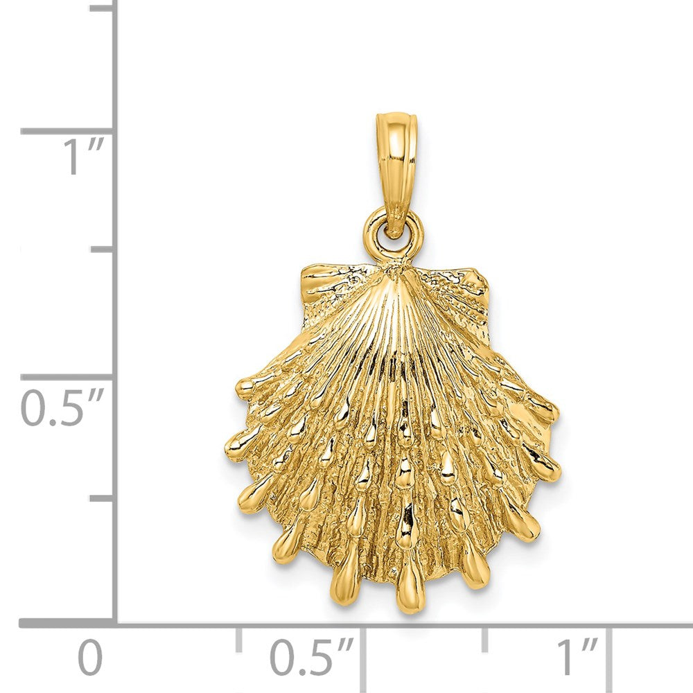14k Yellow Gold 18.4 mm Lions Paw Shell Charm (3.8 grams)