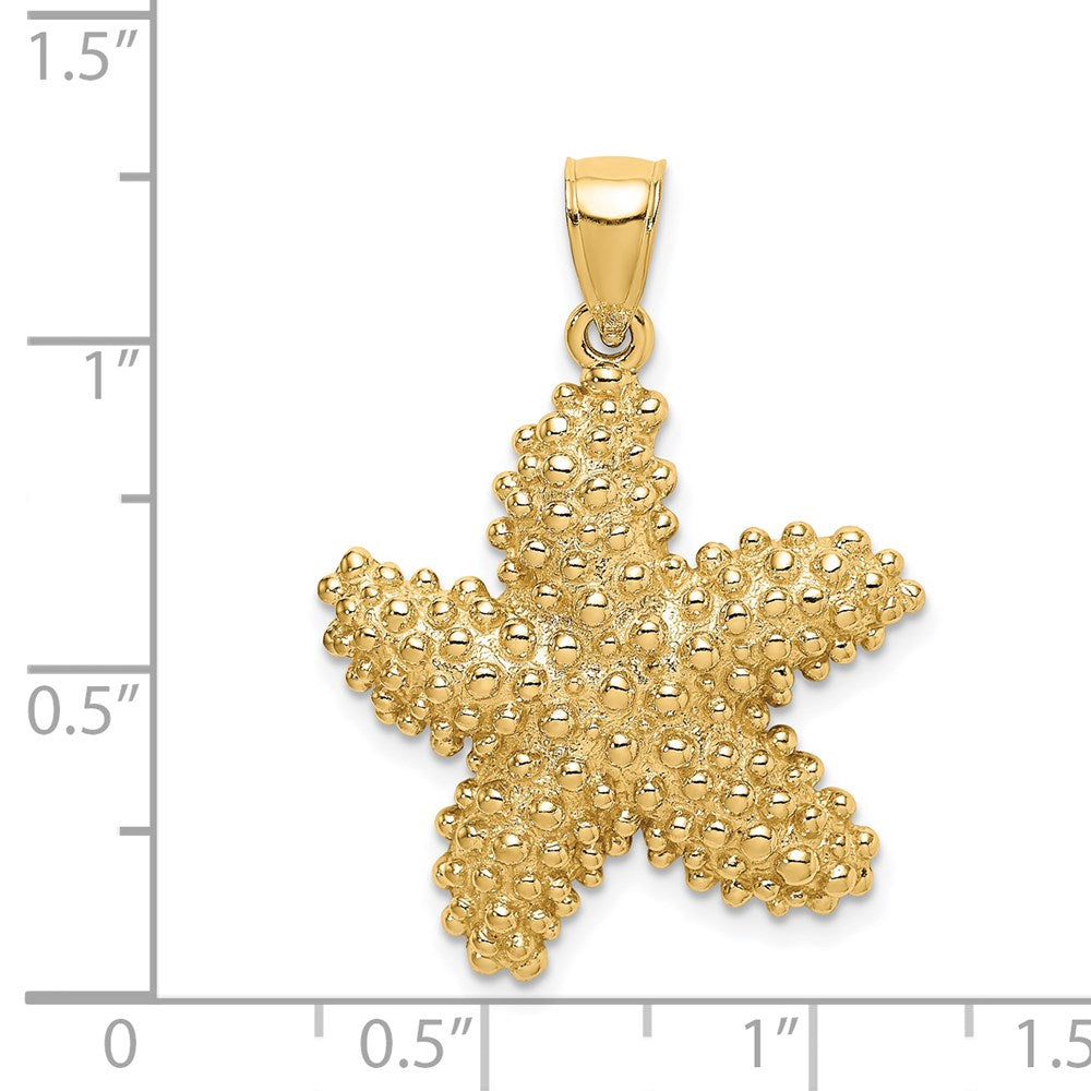 14k Yellow Gold 24.2 mm Textured Starfish Charm (5.64 grams)