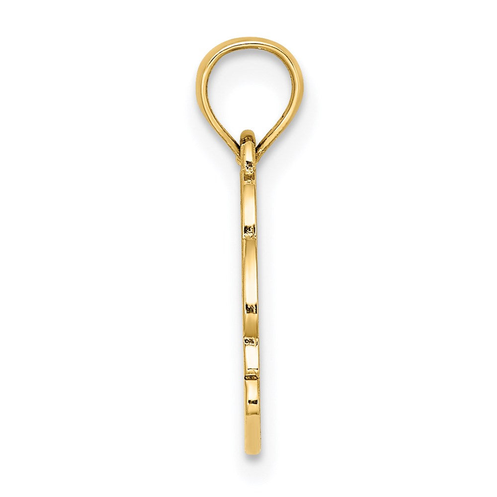 14k Yellow Gold 15.5 mm Textured NAGS HEAD w/ Dolphin Charm (0.83 grams)