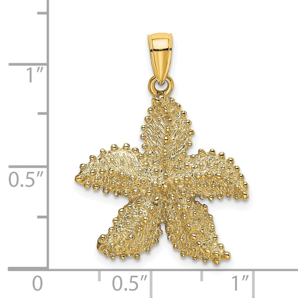 14k Yellow Gold 22.8 mm Textured Starfish Charm (3.7 grams)