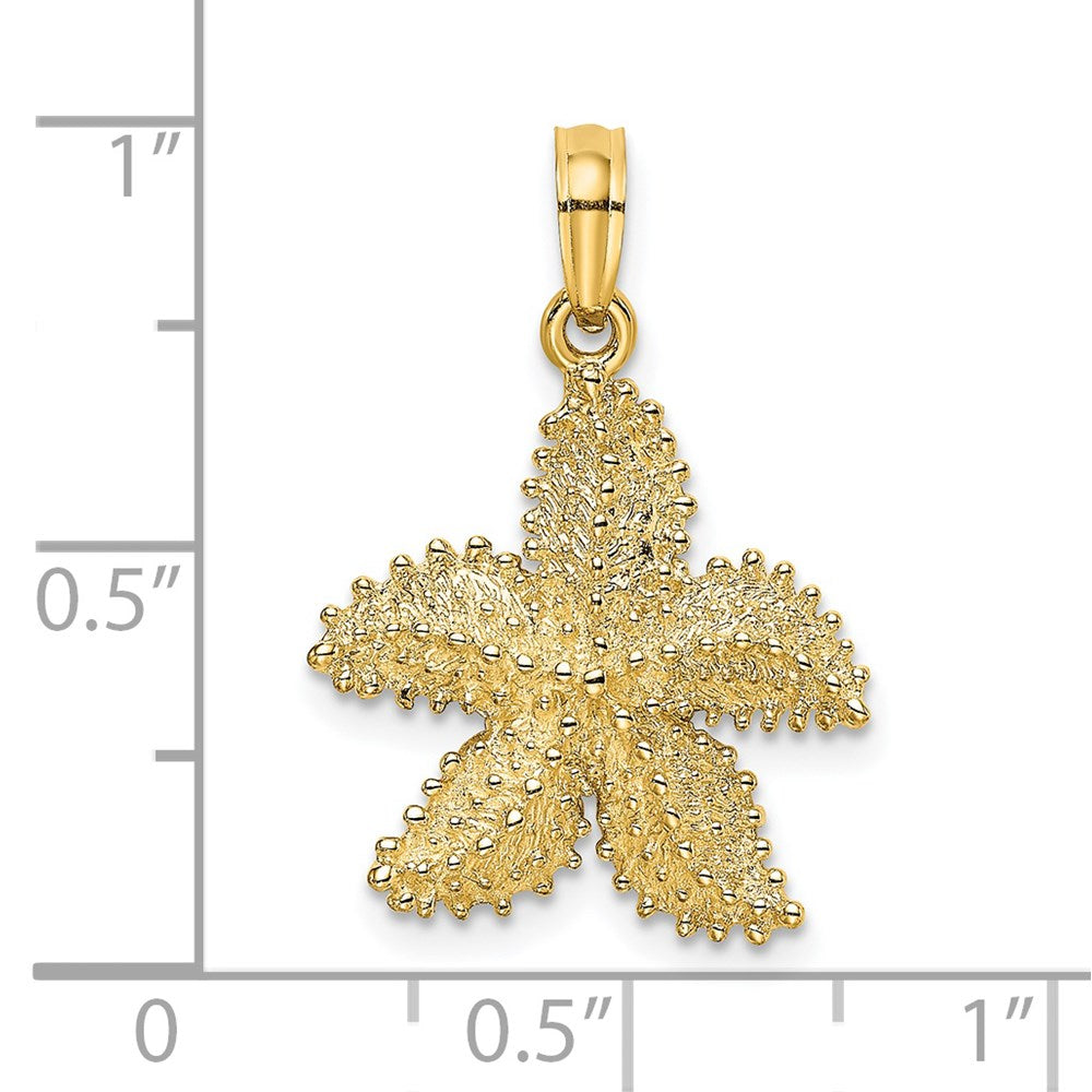 14k Yellow Gold 12 mm Textured Starfish Charm (2.33 grams)