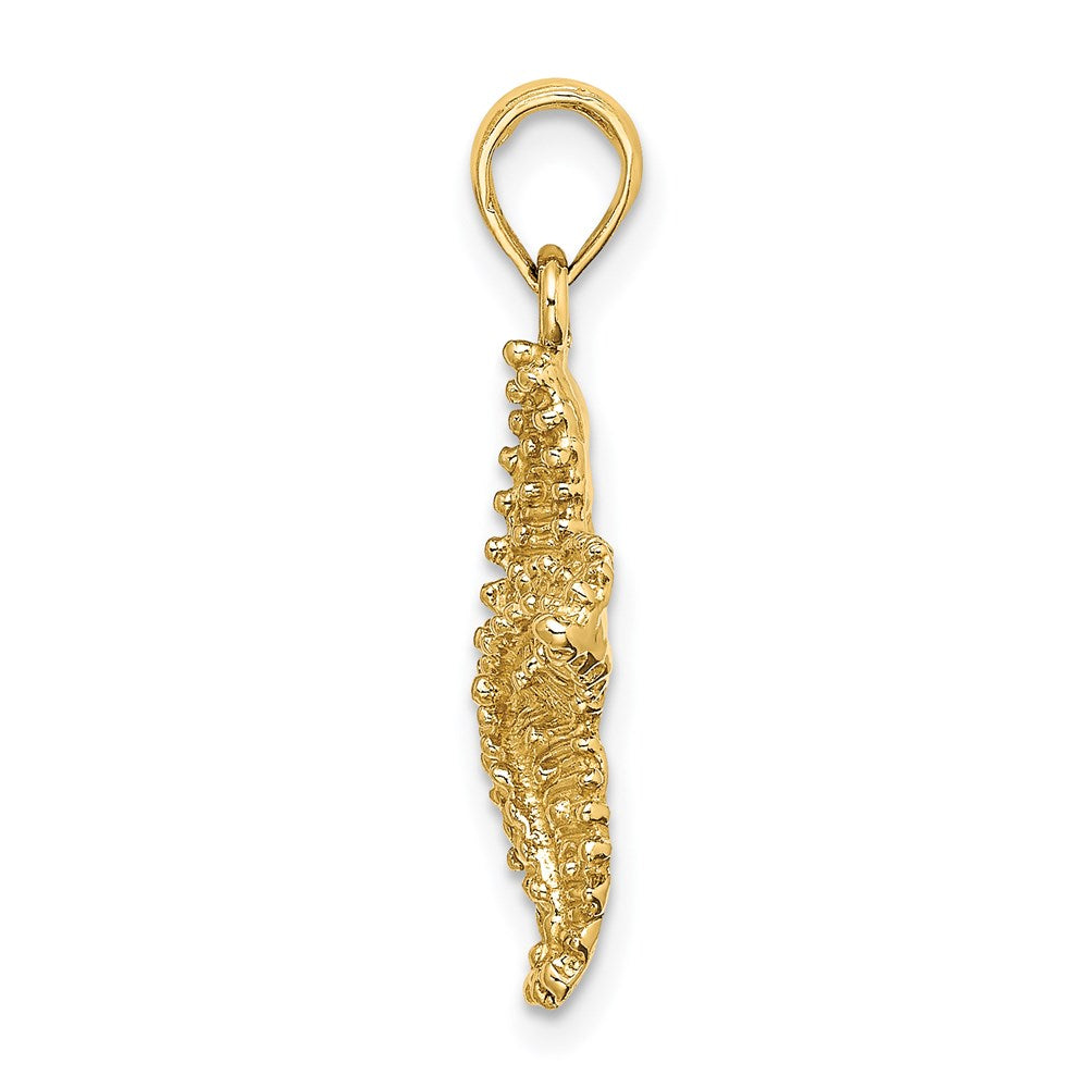 14k Yellow Gold 19.9 mm Beaded Textured Starfish Charm (2.96 grams)