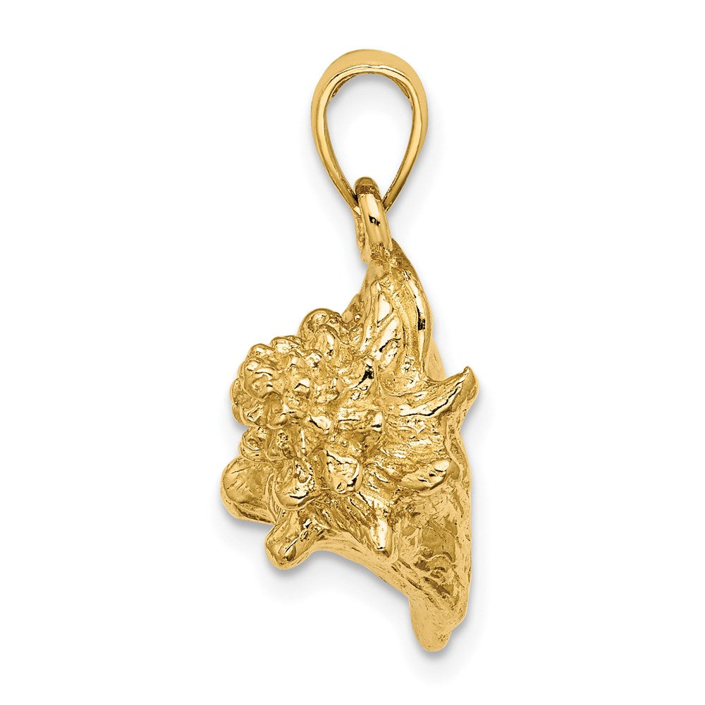 14k Yellow Gold 19.65 mm 3-D Conch Shell Charm (6.83 grams)