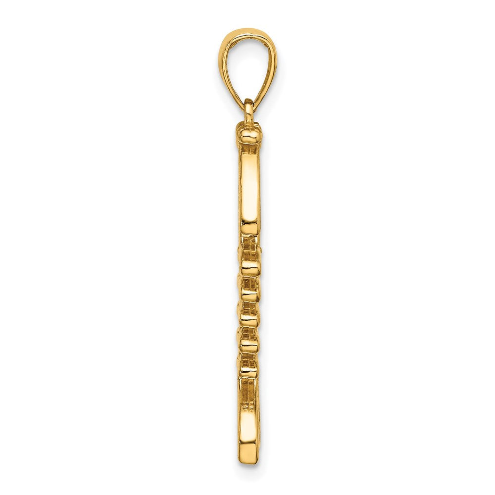 14k Yellow Gold 10.4 mm 3-D Polished/ Textured Fishbone Charm (2.69 grams)