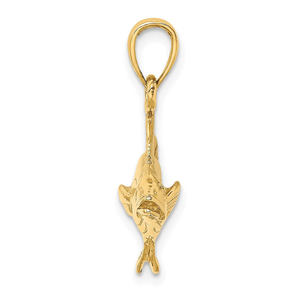 14k Yellow Gold 41.1 mm 3-D Polished Cobia Fish Charm (6.46 grams)