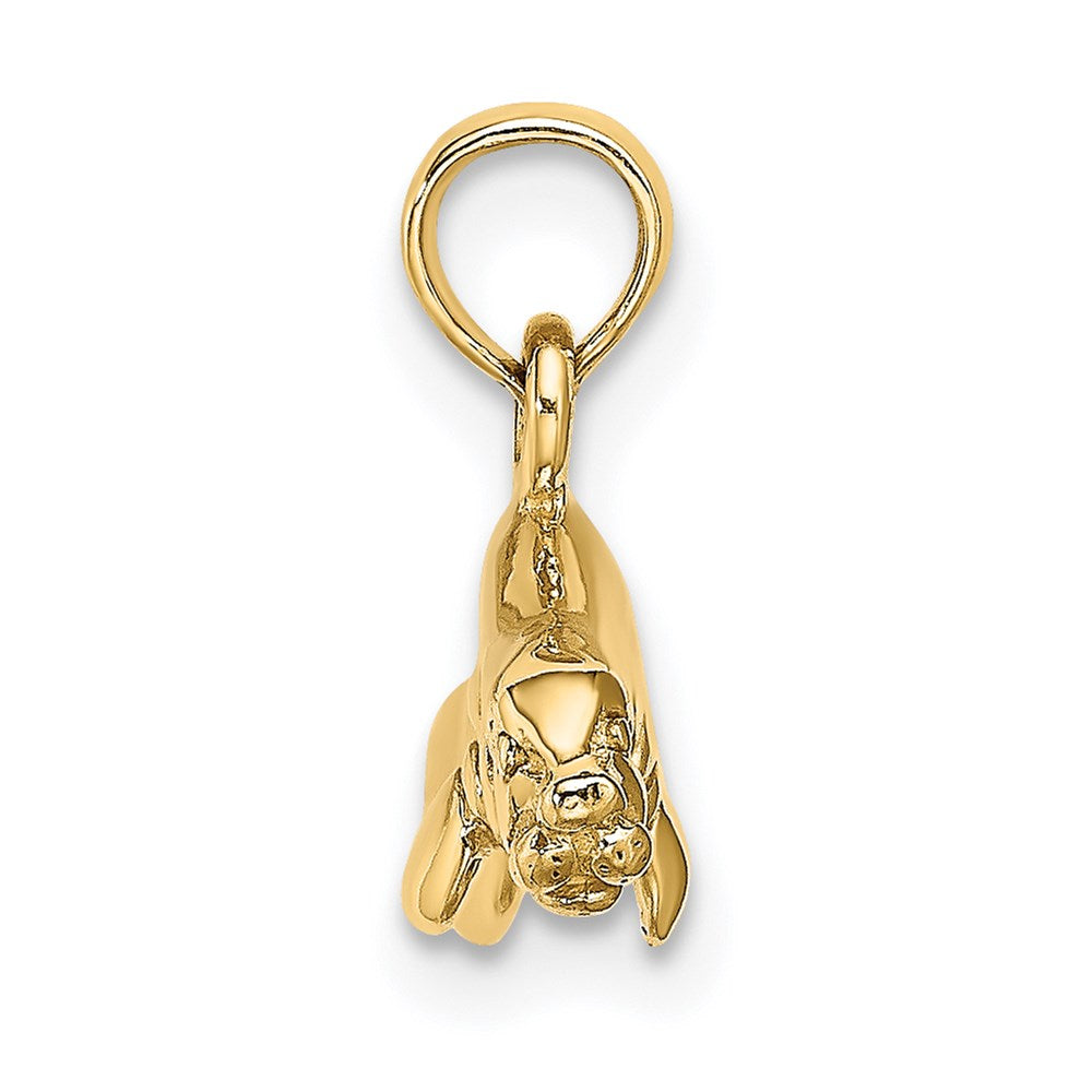 14k Yellow Gold 19.4 mm ng Manatee Charm (1.84 grams)