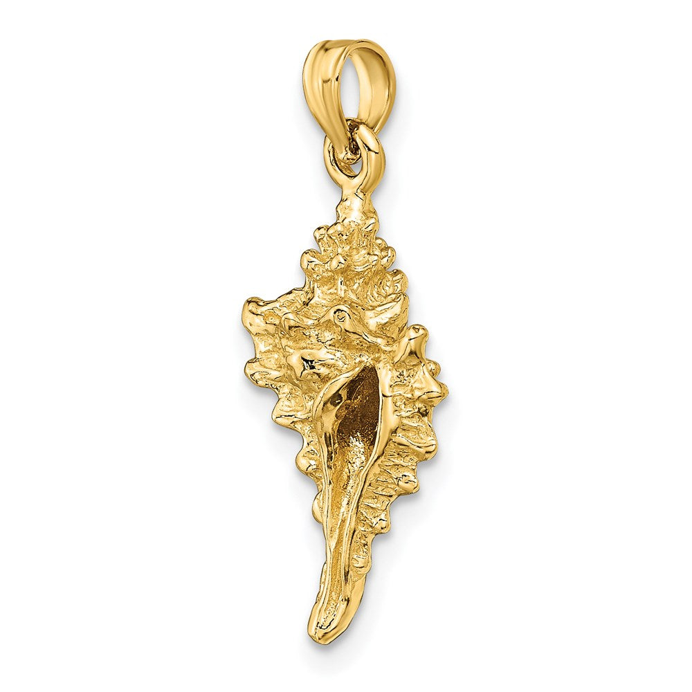 14k Yellow Gold 11.45 mm 3-D Conch Shell Charm (3.02 grams)