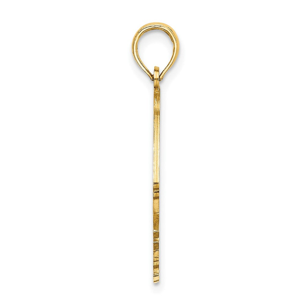 14k Yellow Gold 17.4 mm Polished Cut-Out ARUBA Under Angelfish Charm (1.62 grams)