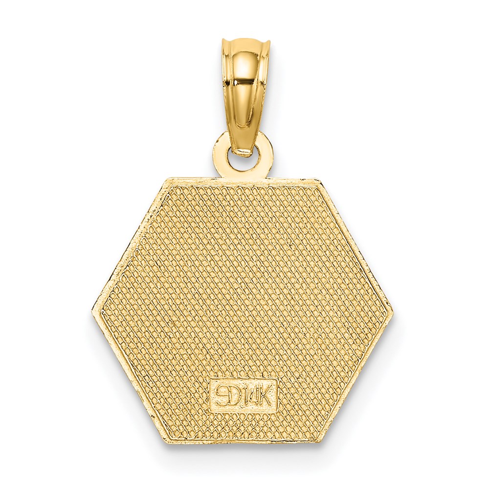 14k Yellow Gold 14.3 mm Caduceus Textured Back Medical Charm (2.25 grams)