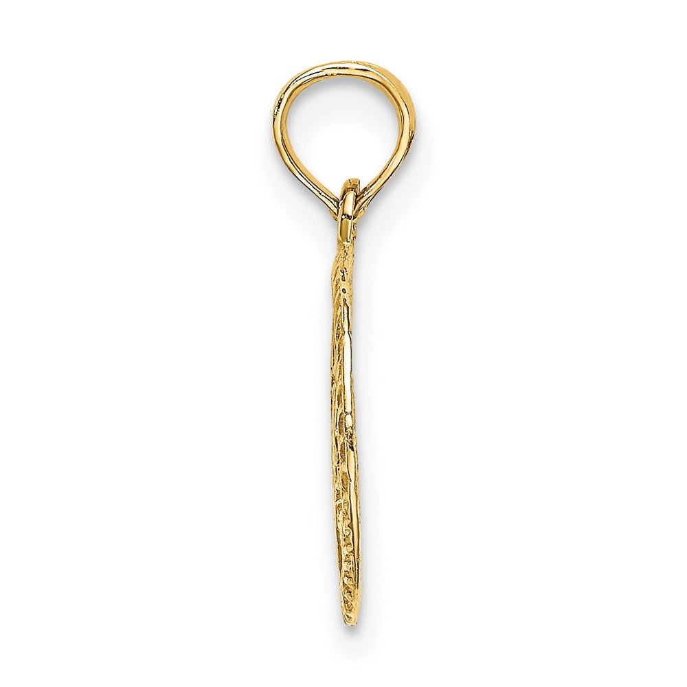 14k Yellow Gold 4.8 mm Engraved Star Of David In Circle Charm (0.71 grams)