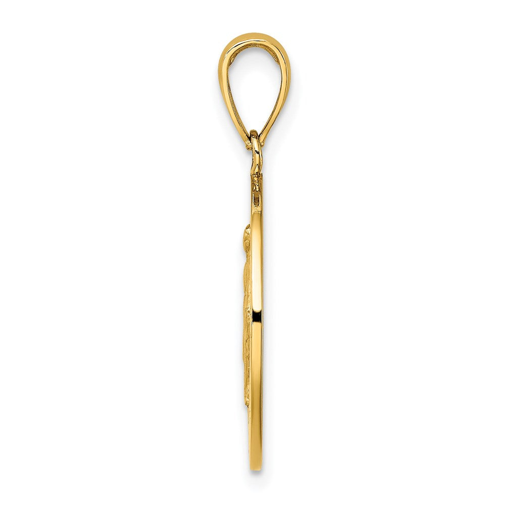 14k Yellow Gold 18 mm Polished and Satin Miraculous Medal Charm (2.33 grams)