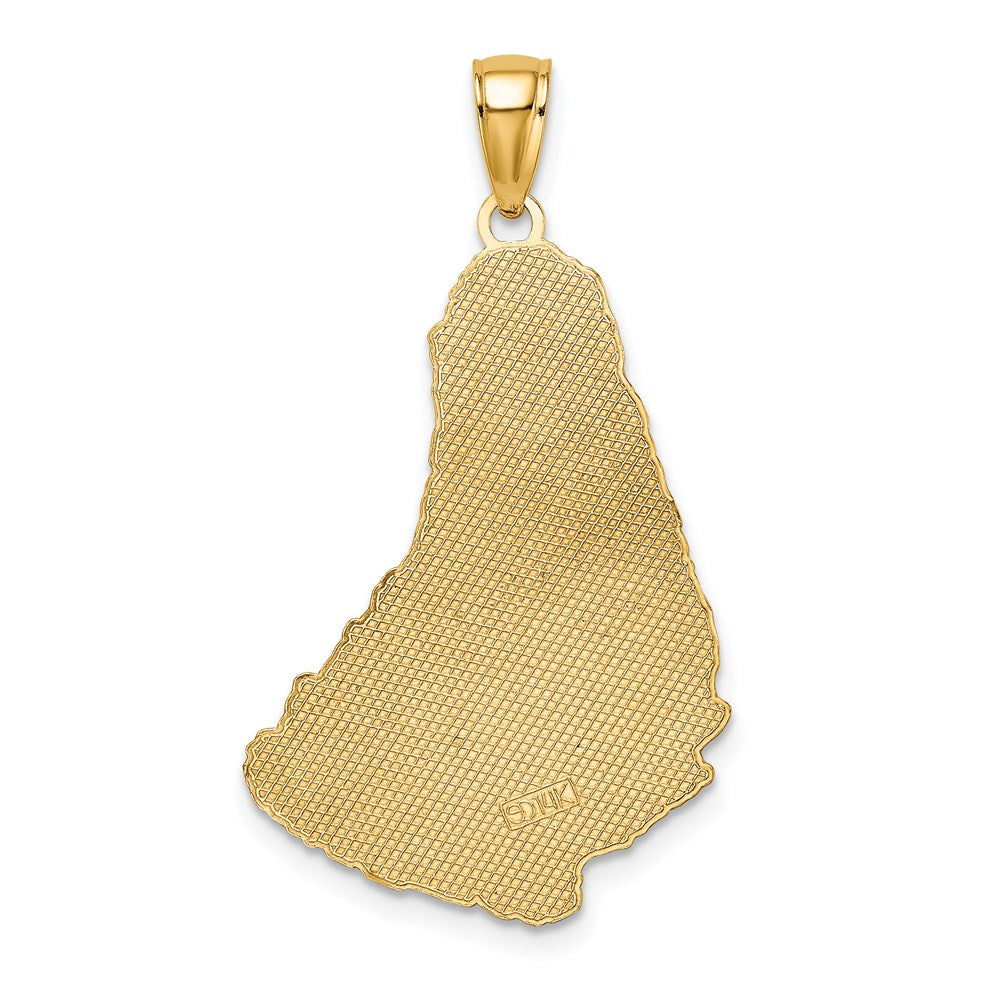 14k Yellow Gold 19 mm Textured BARBADOS Map Charm (2.06 grams)