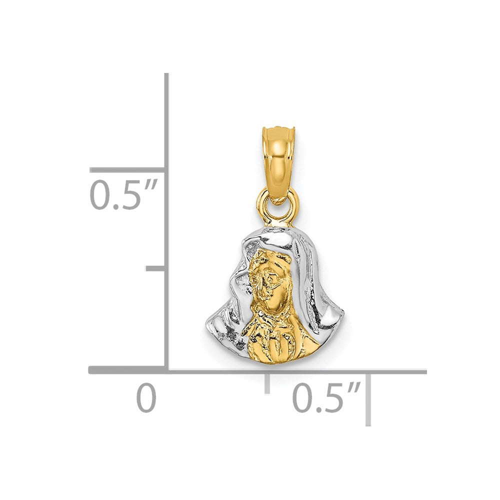 14k Yellow & Rhodium 9.15 mm  Mary Mother Of Jesus Charm
