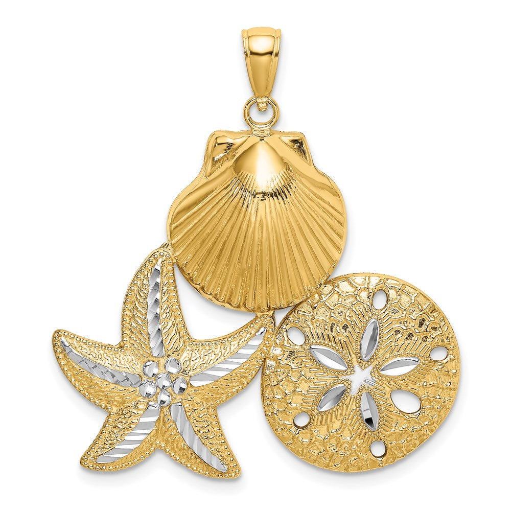 14k Yellow & Rhodium 35 mm Diamond-cut Scallop Starfish Sand Dollar Charm (5.57 grams)