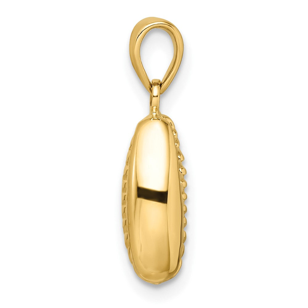 14k Yellow Gold 9 mm Polished 3D Crowrie Shell Pendant (1.83 grams)
