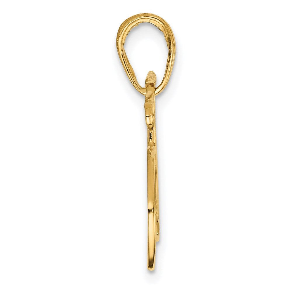 14k Yellow Gold 26 mm Polished Bicycle Charm (1.13 grams)