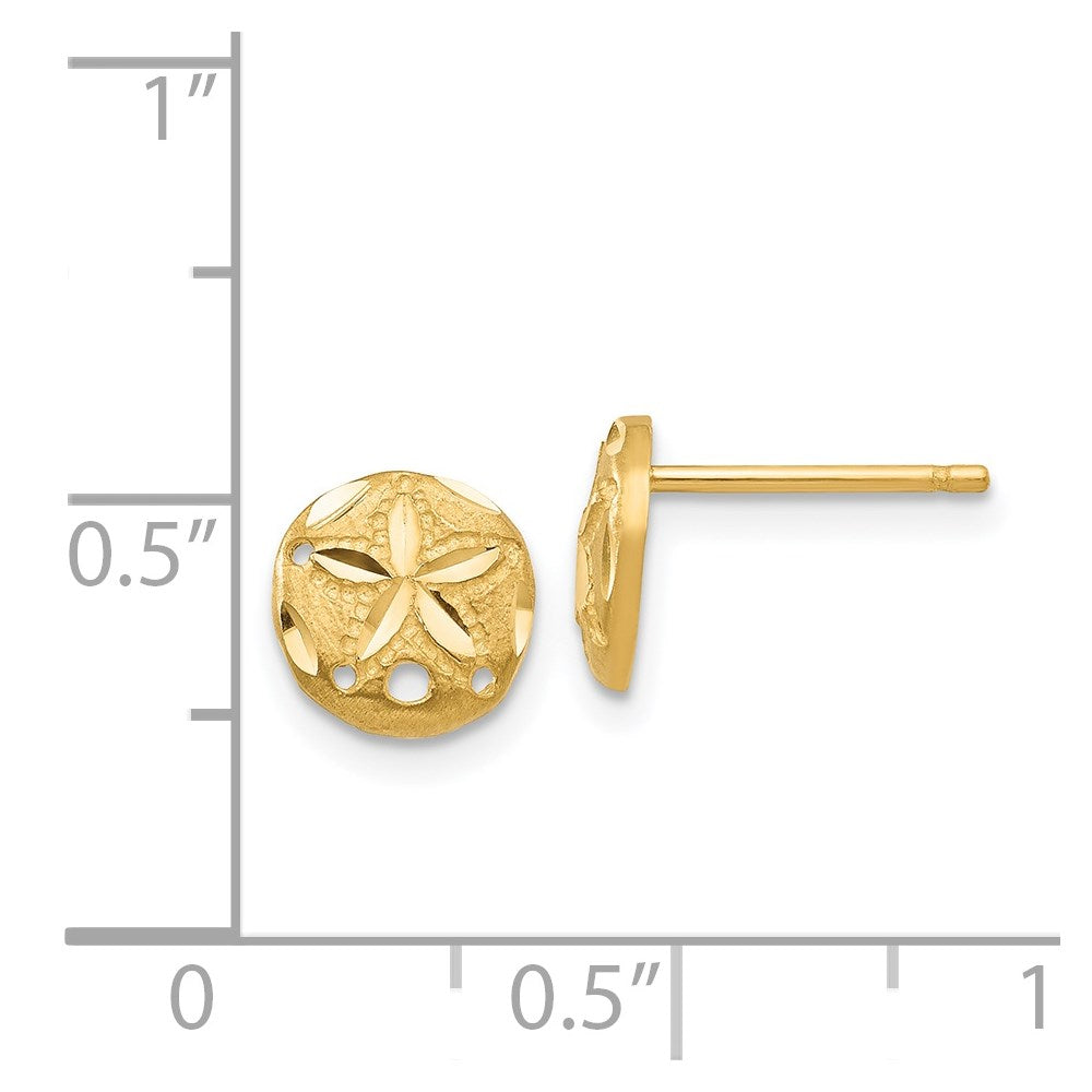 14k Yellow Gold 8 mm Diamond-cut Sand Dollar Earrings (0.95 grams)