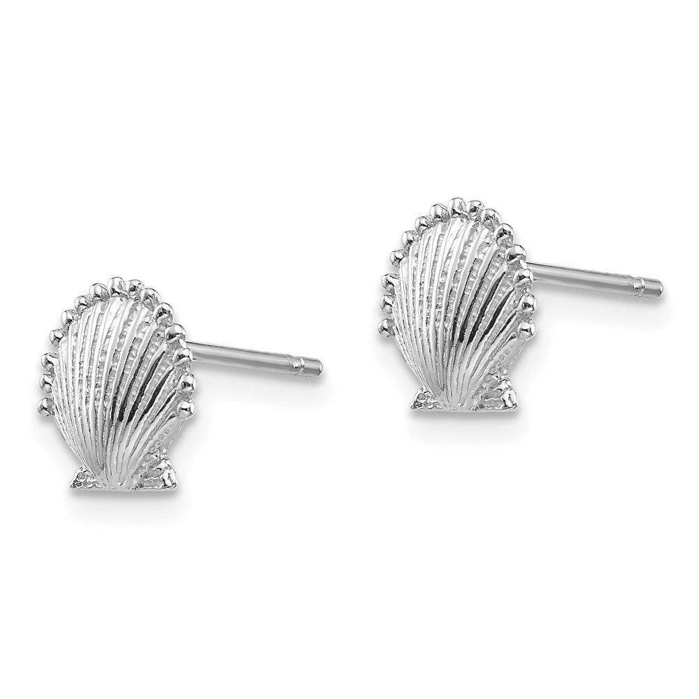 14k White Gold 8.51 mm Scallop Shell Post Earrings (1.17 grams)