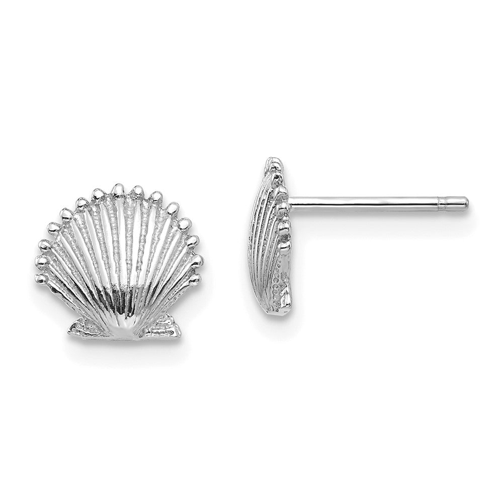 14k White Gold 8.51 mm Scallop Shell Post Earrings (1.17 grams)