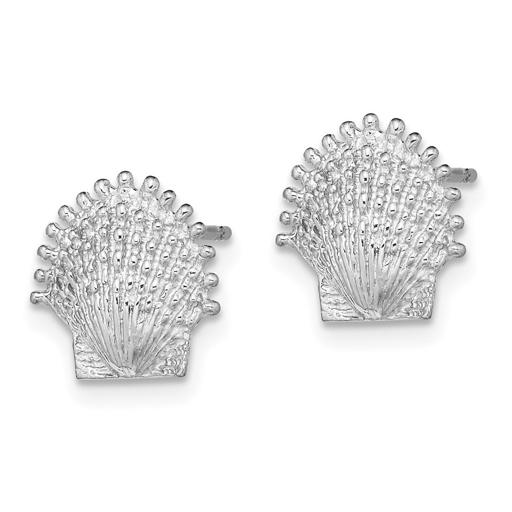 14k White Gold 10.6 mm Beaded Scallop Shell Post Earrings (1.78 grams)