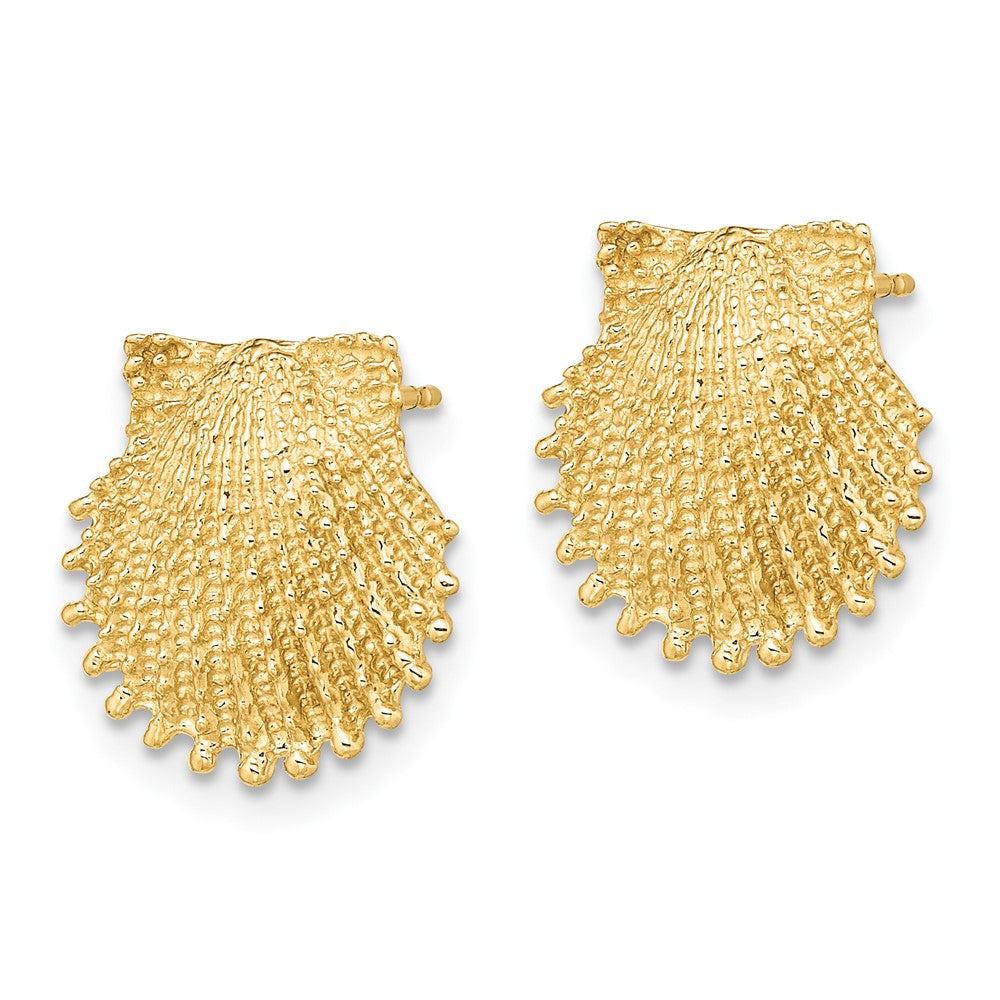 14k Yellow Gold 13.4 mm Beaded Scallop Shell Post Earrings (3.1 grams)