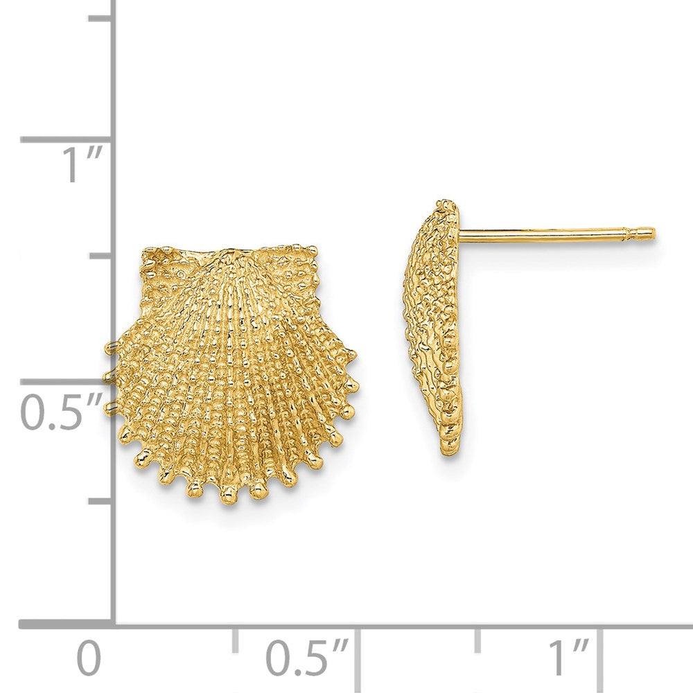 14k Yellow Gold 13.4 mm Beaded Scallop Shell Post Earrings (3.1 grams)