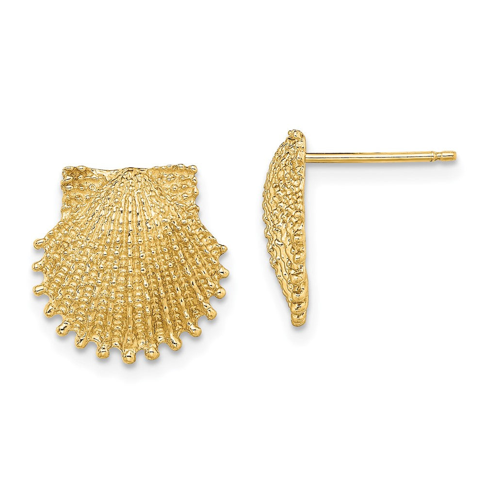 14k Yellow Gold 13.4 mm Beaded Scallop Shell Post Earrings (3.1 grams)