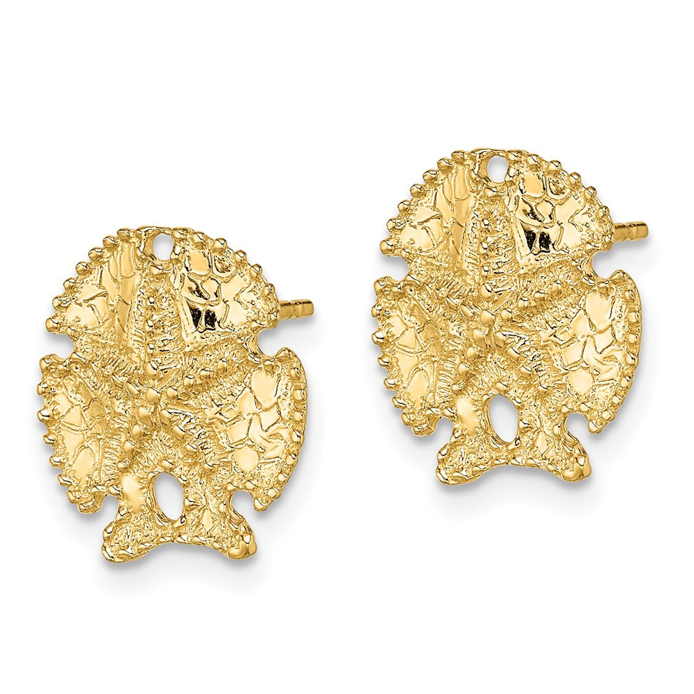 14k Yellow Gold 13.5 mm Textured Sand Dollar Earrings (2.17 grams)