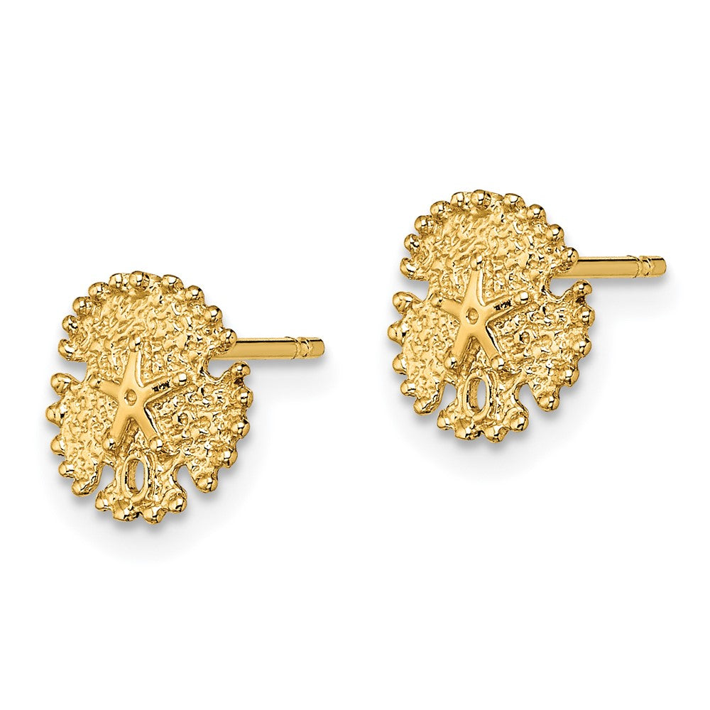 14k Yellow Gold 8.25 mm Textured Sand Dollar Post Earrings (0.85 grams)
