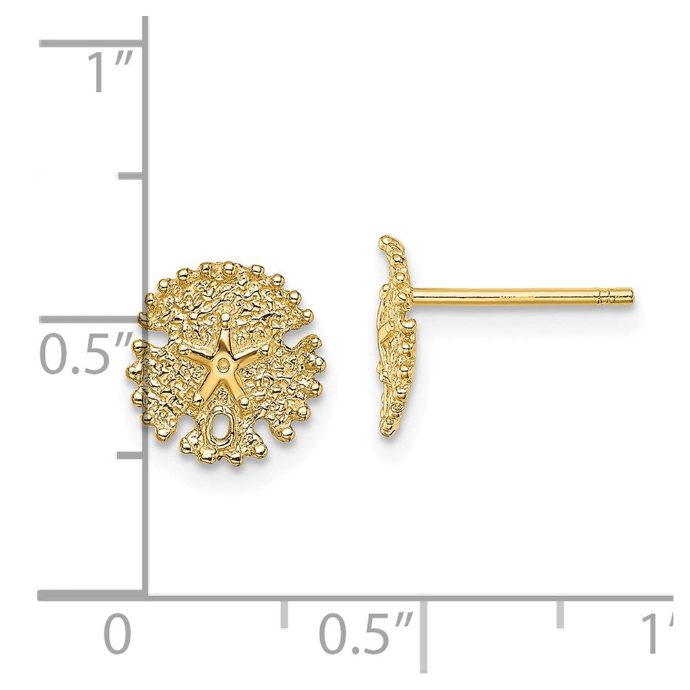 14k Yellow Gold 8.25 mm Textured Sand Dollar Post Earrings (0.85 grams)