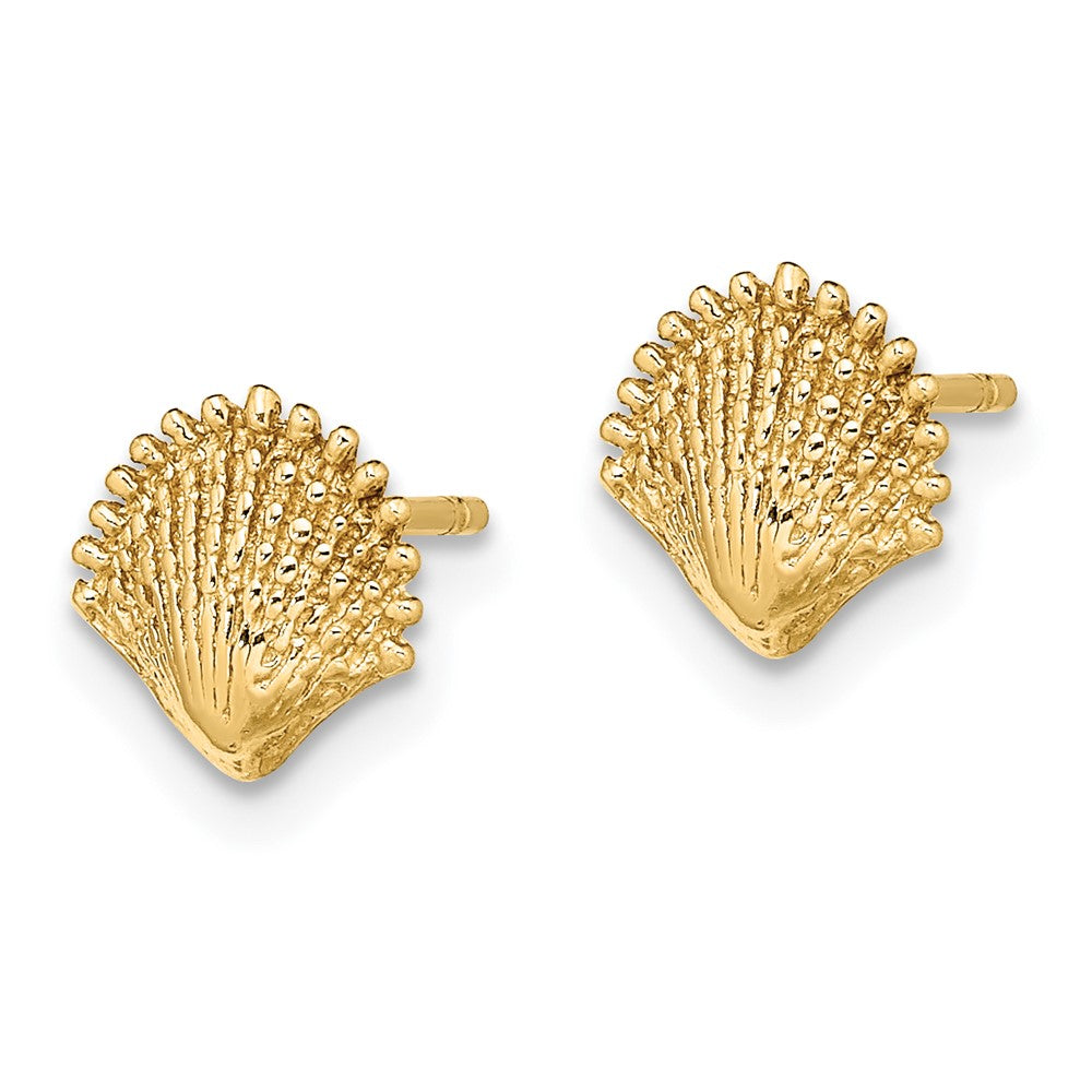 14k Yellow Gold 7.7 mm Scallop Shell Post Earrings (1.01 grams)