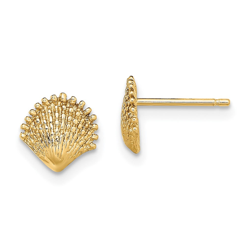 14k Yellow Gold 7.7 mm Scallop Shell Post Earrings (1.01 grams)