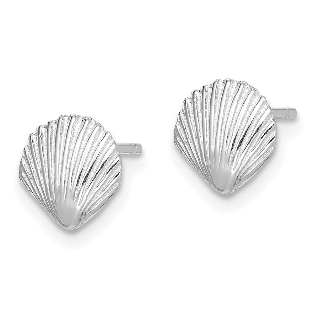 14k White Gold 7.9 mm Scallop Shell Post Earrings (1.12 grams)