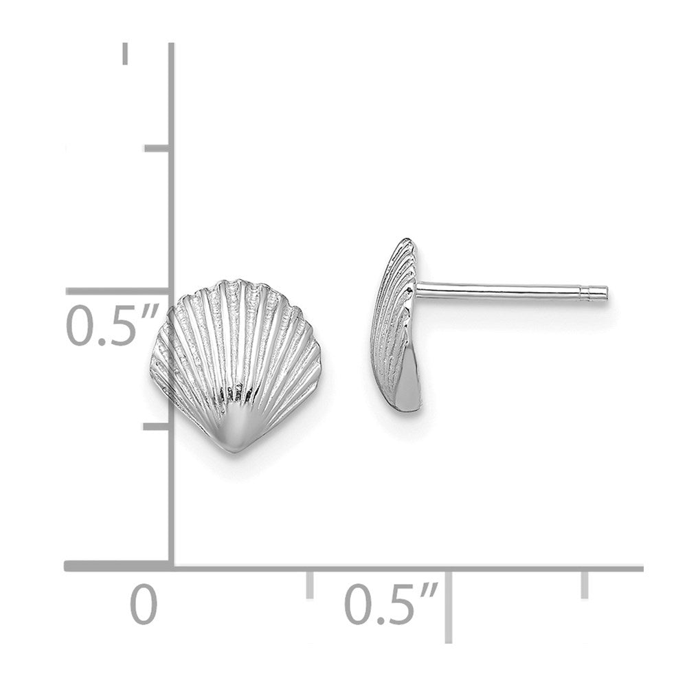 14k White Gold 7.9 mm Scallop Shell Post Earrings (1.12 grams)