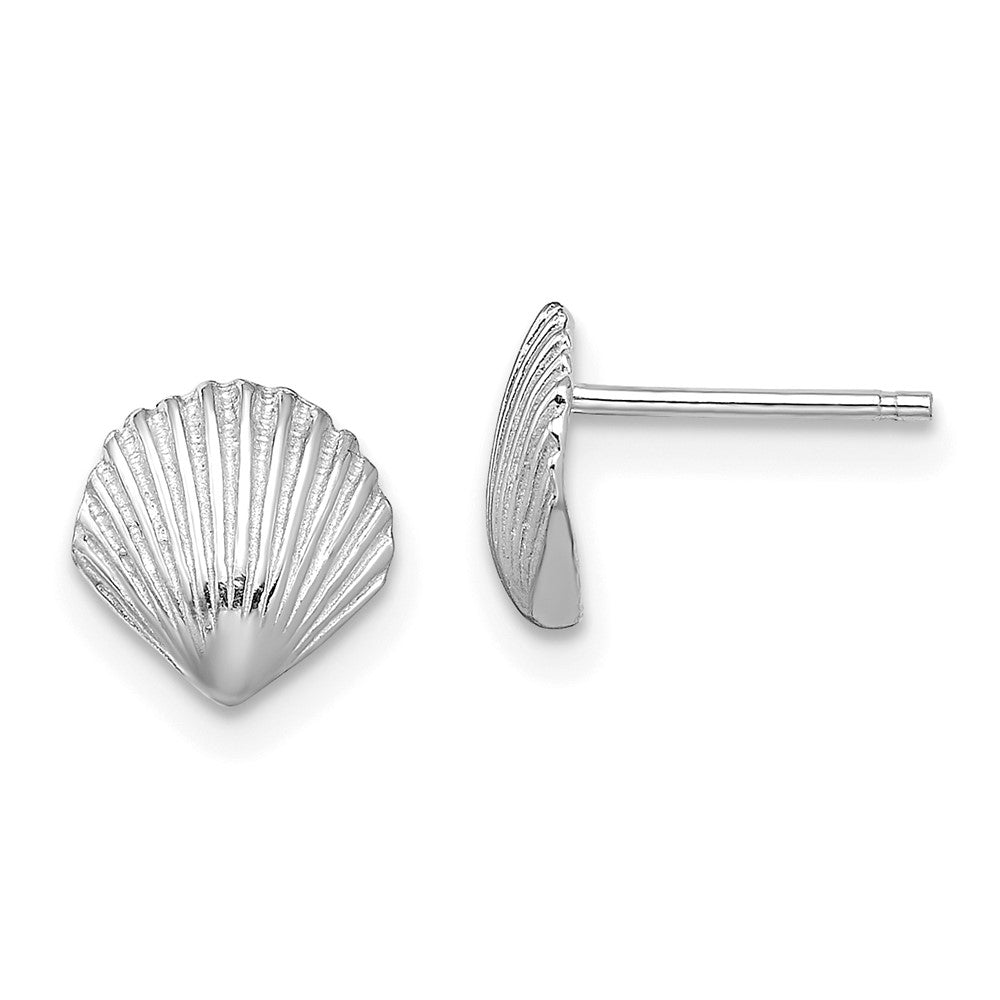 14k White Gold 7.9 mm Scallop Shell Post Earrings (1.12 grams)