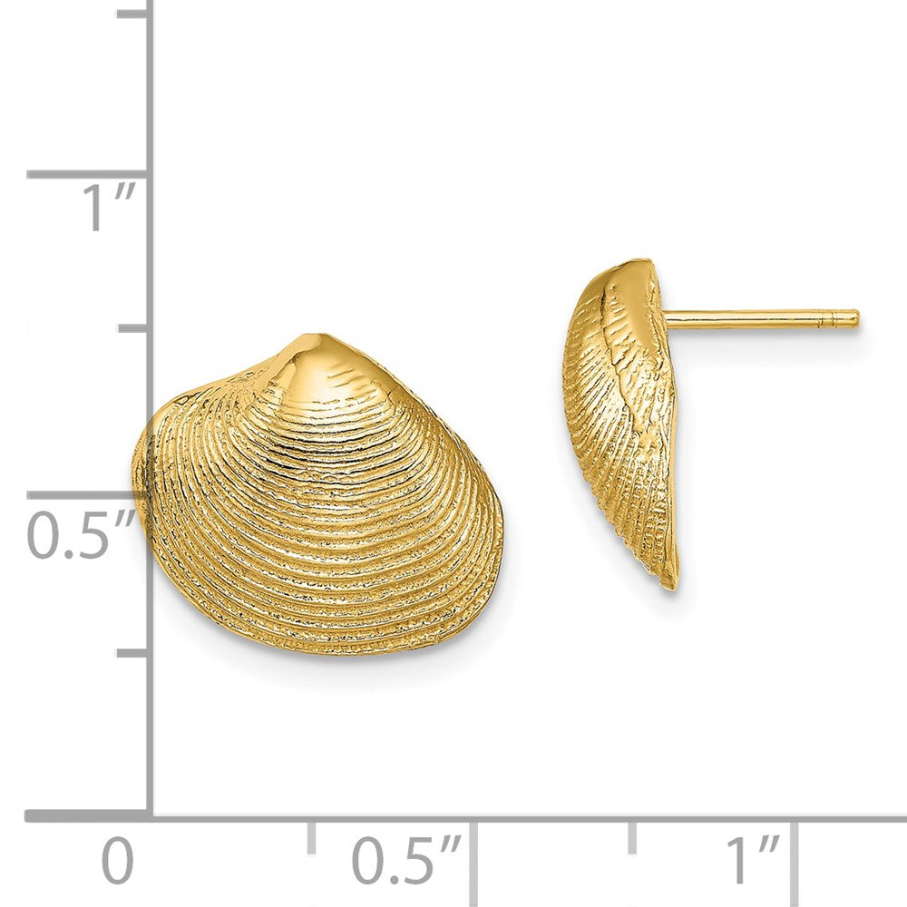 14k Yellow Gold 15 mm Clam Shell Post Earrings (3.86 grams)