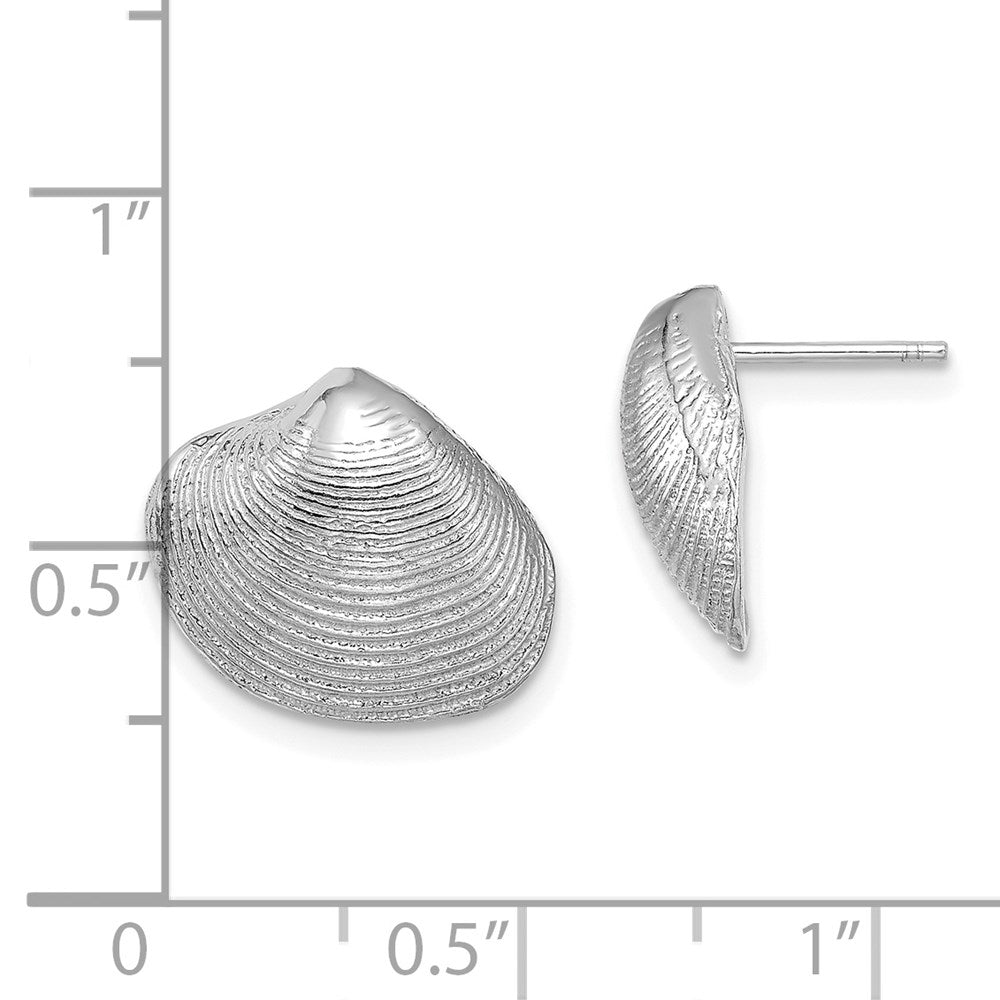 14k White Gold 15.1 mm Clam Shell Post Earrings (3.35 grams)