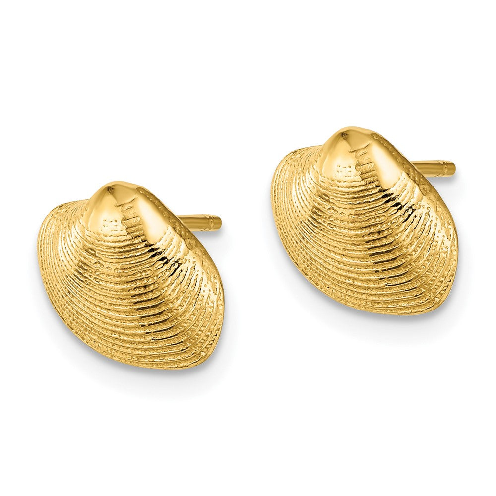 14k Yellow Gold 11.1 mm Clam Shell Post Earrings (1.82 grams)