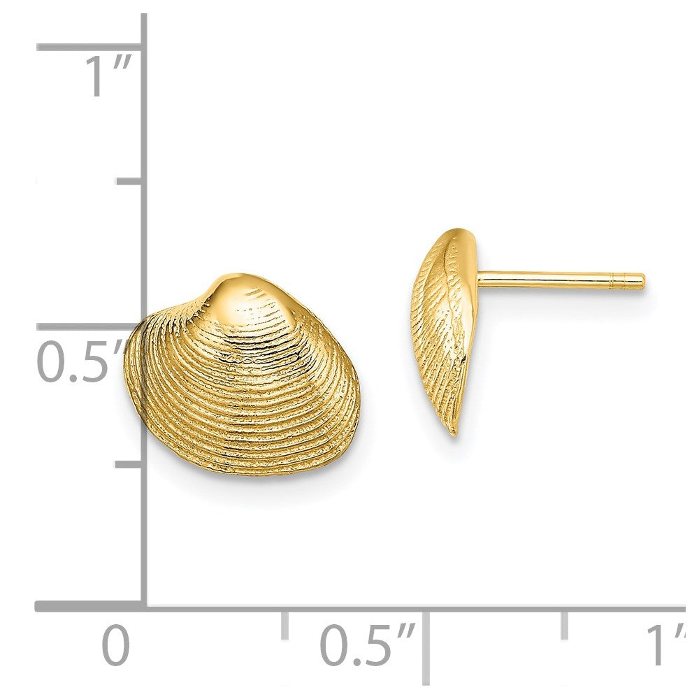 14k Yellow Gold 11.1 mm Clam Shell Post Earrings (1.82 grams)