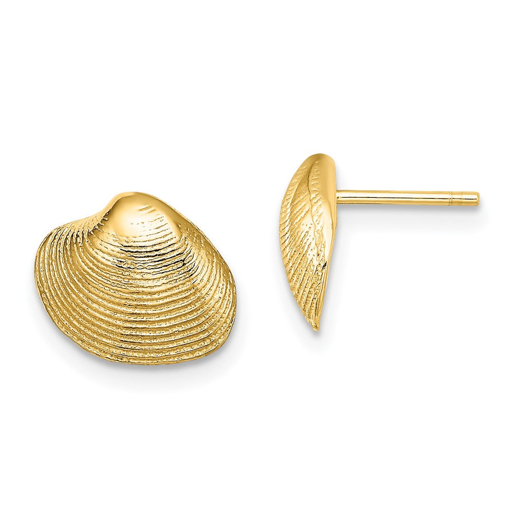14k Yellow Gold 11.1 mm Clam Shell Post Earrings (1.82 grams)