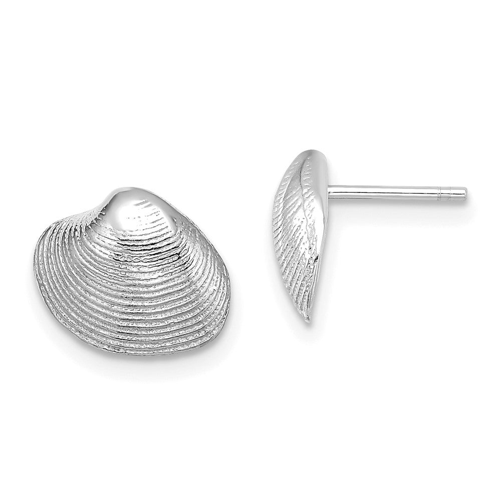 14k White Gold 11 mm Clam Shell Post Earrings (1.69 grams)