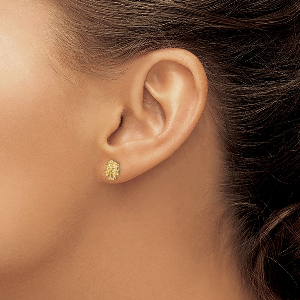 14k Yellow Gold 7.15 mm Mini Sand Dollar Post Earrings (0.81 grams)