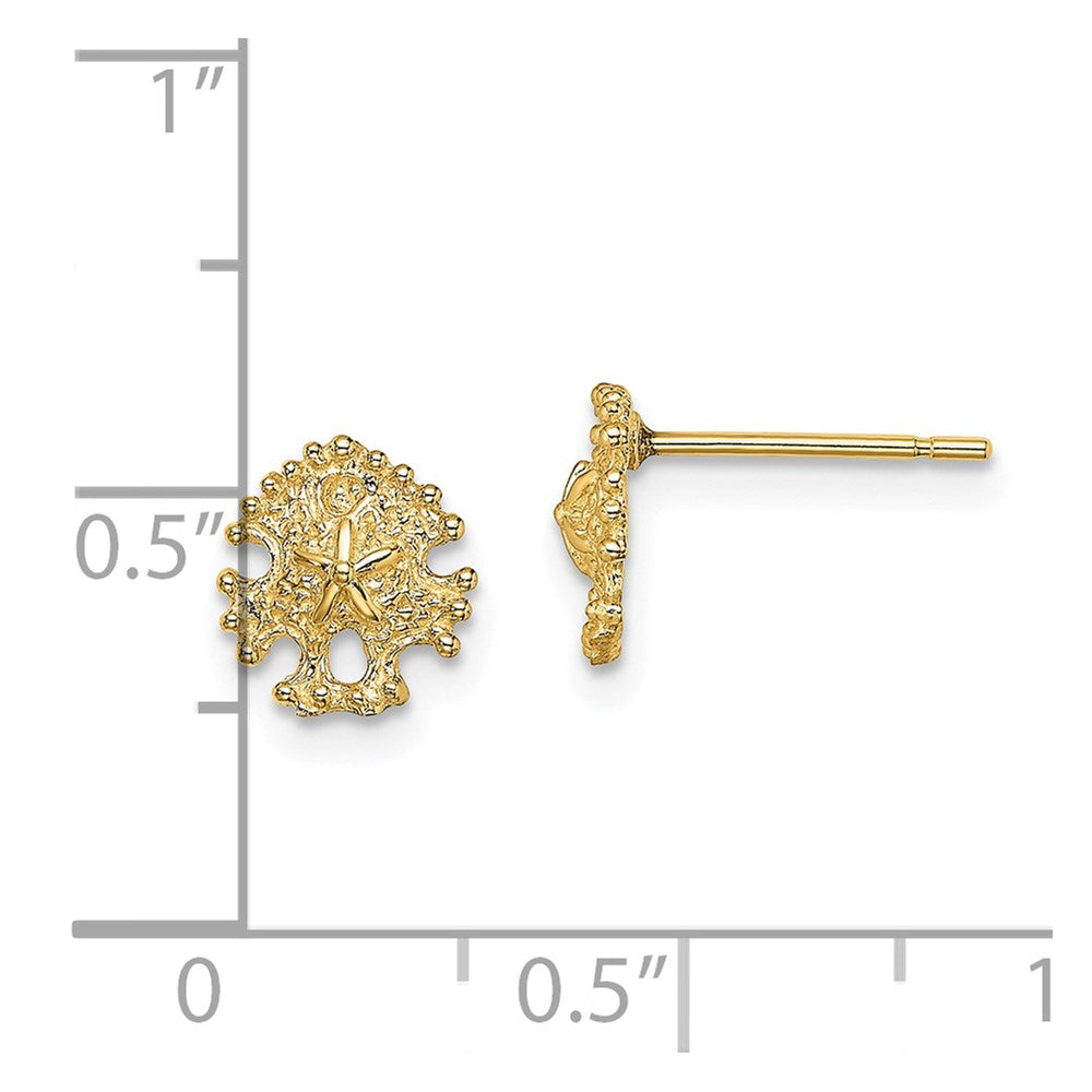 14k Yellow Gold 7.15 mm Mini Sand Dollar Post Earrings (0.81 grams)