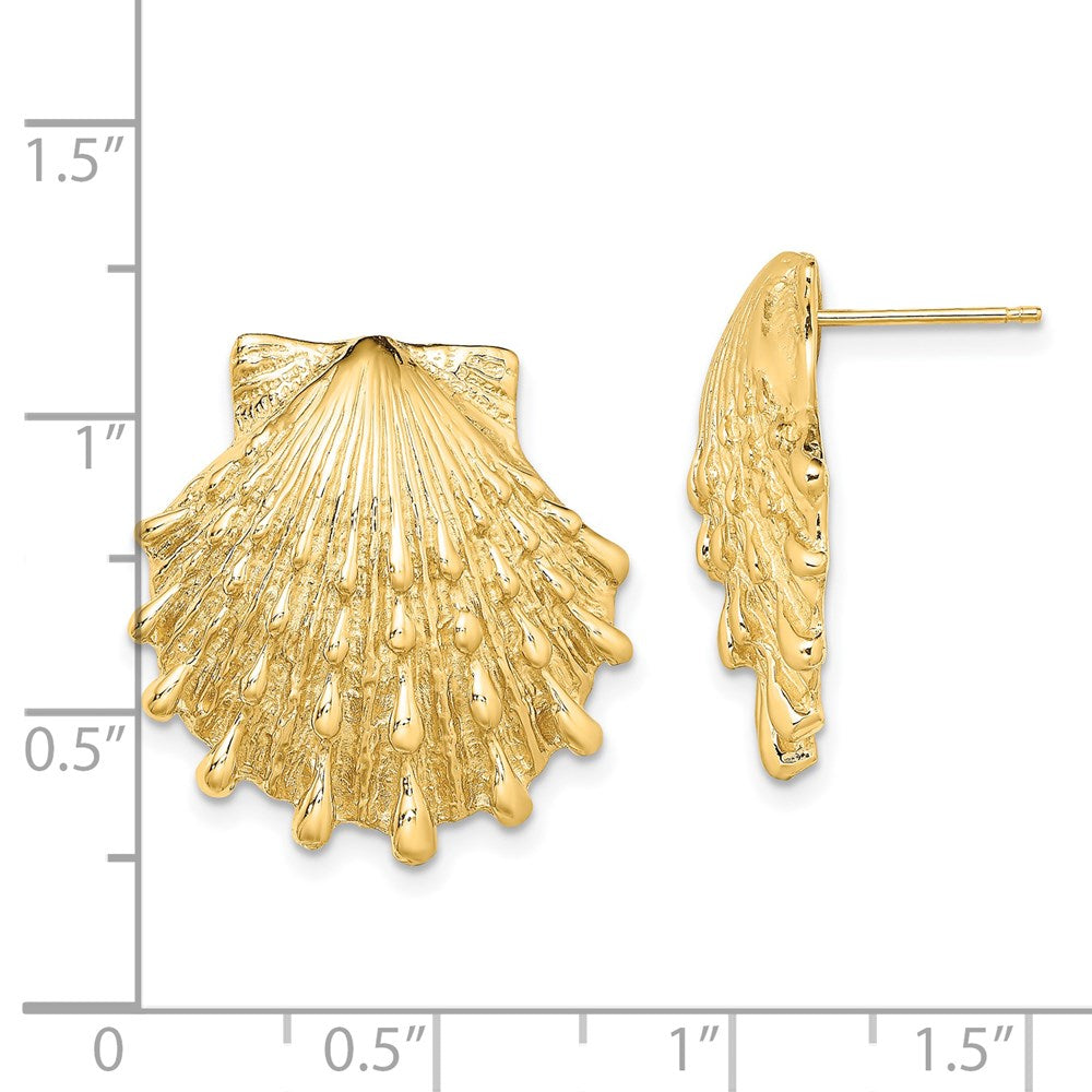 14k Yellow Gold 21.6 mm Lion's Paw Shell Post Earrings (8.85 grams)