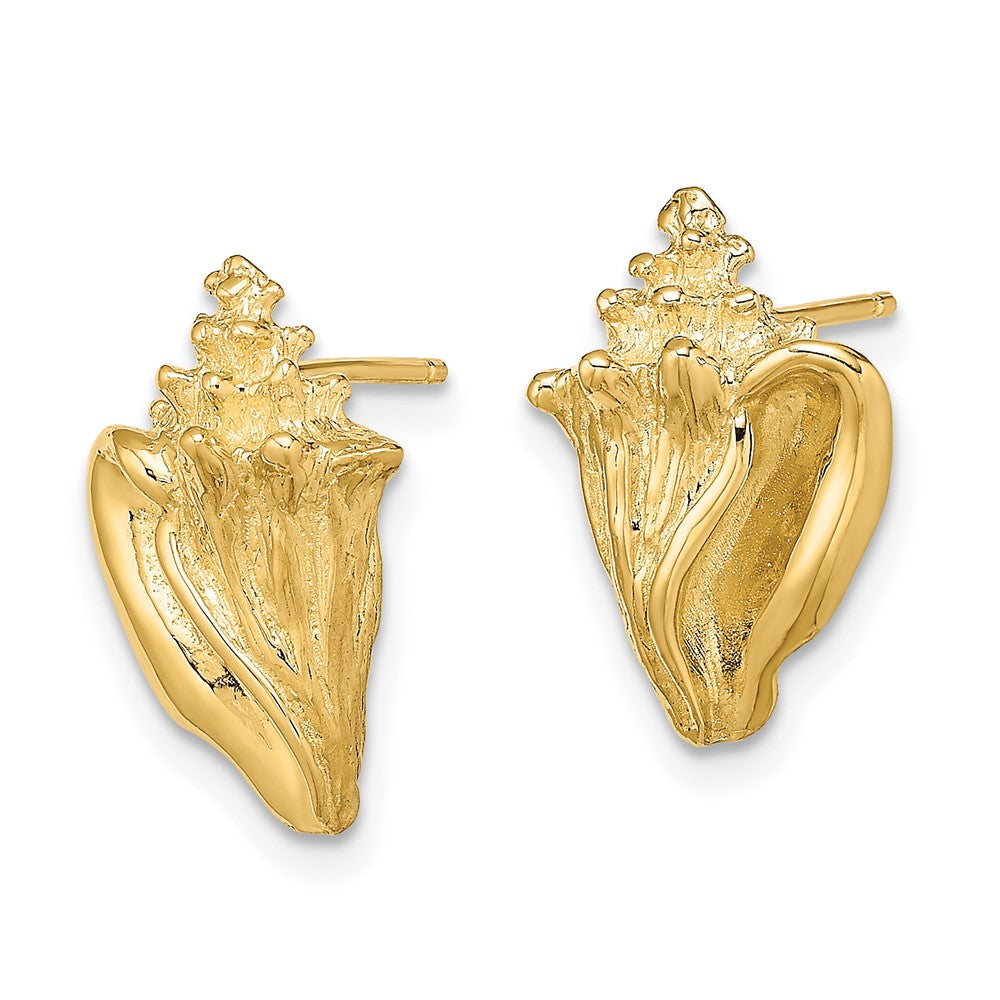 14k Yellow Gold 10 mm 2-D Conch Shell Post Earrings (3.65 grams)
