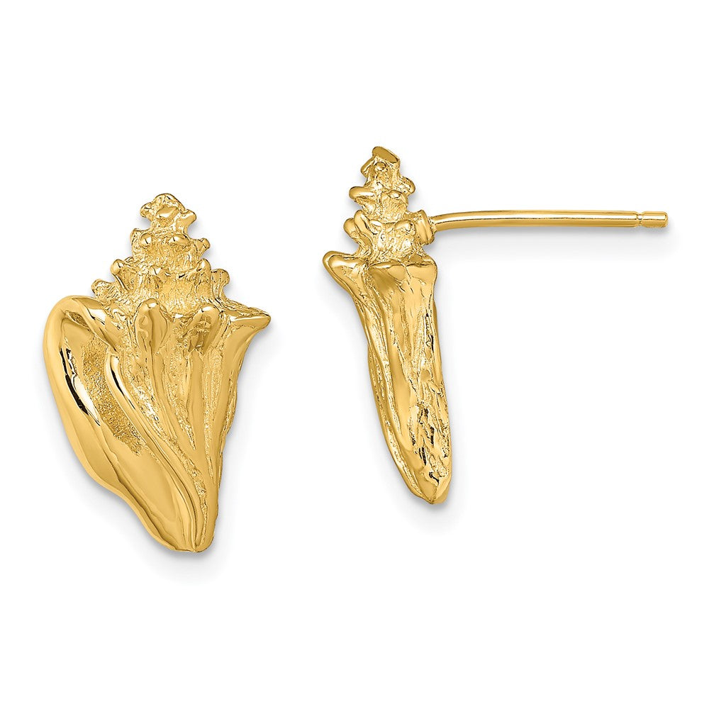 14k Yellow Gold 10 mm 2-D Conch Shell Post Earrings (3.65 grams)