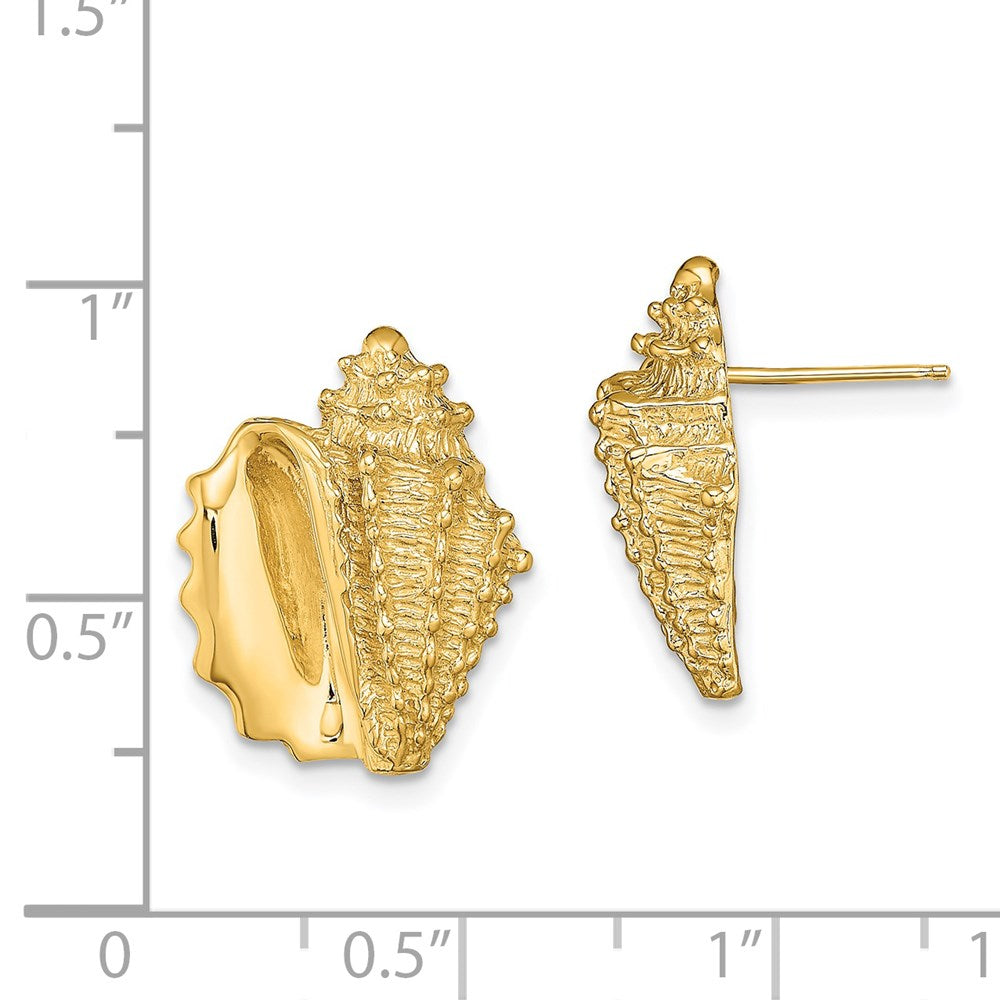 14k Yellow Gold 14 mm 2-D Conch Shell Post Earrings (5.87 grams)