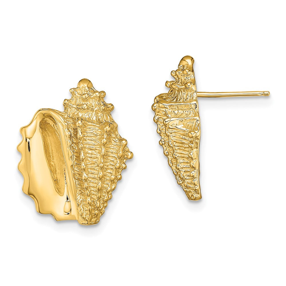 14k Yellow Gold 14 mm 2-D Conch Shell Post Earrings (5.87 grams)